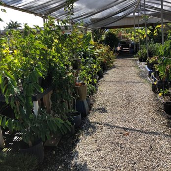 Southern Turf Hawaii - Nurseries & Gardening Near Me - Mililani, Hawaii Southern Turf Hawaii - Nurseries & Gardening Near Me - Mililani, Hawaii