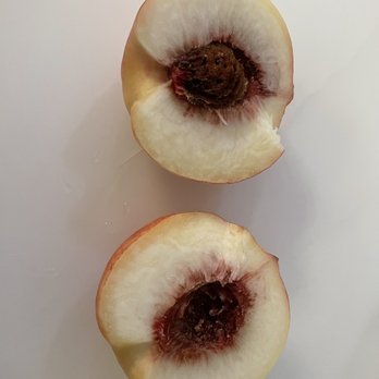 H Mart - Bayside - All peaches I bought from H Mart recently are rotting inside . - Korean Near Me - Bayside, New York H Mart - Bayside - All peaches I bought from H Mart recently are rotting inside . - Korean Near Me - Bayside, New York