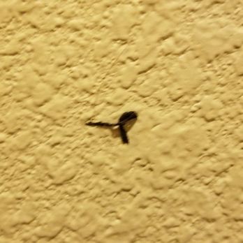 Quality Inn Phoenix North I-17 - Dried booger on bathroom wall - Hotels Near Me - Phoenix, Arizona Quality Inn Phoenix North I-17 - Dried booger on bathroom wall - Hotels Near Me - Phoenix, Arizona