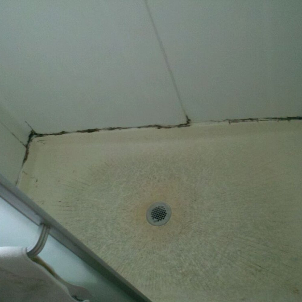 Wolfe & Associates Property Services - Moldy shower. They have yet to fix it. - Property Management Near Me - Santa Barbara, California Wolfe & Associates Property Services - Moldy shower. They have yet to fix it. - Property Management Near Me - Santa Barbara, California