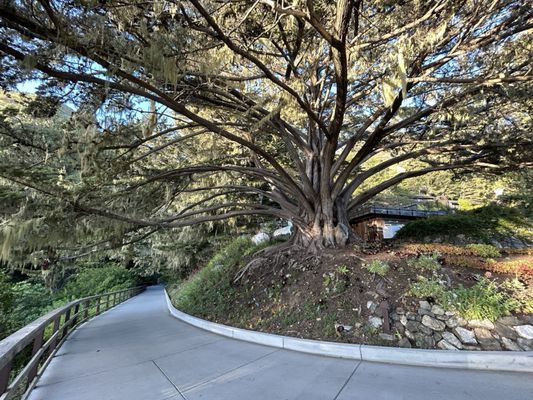 Esalen Institute by null