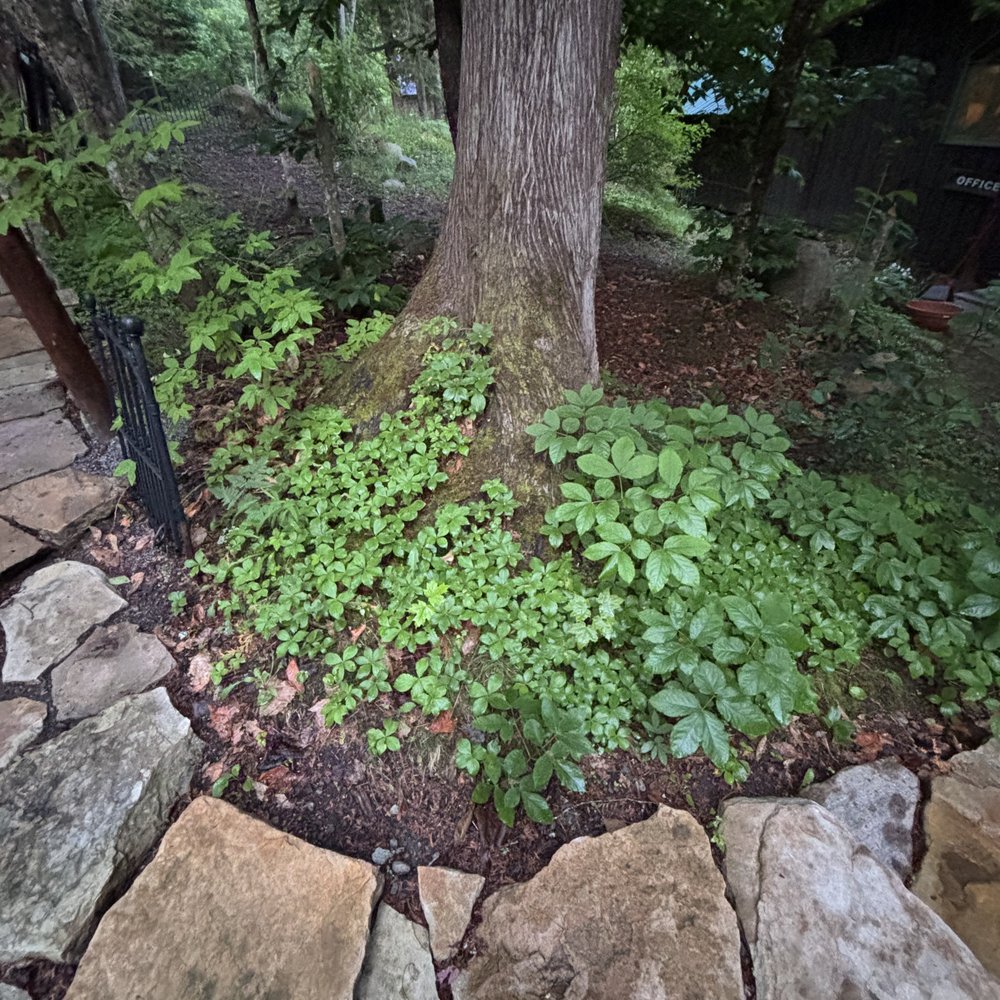 Blair Gregson Stone Masonry - stone walk - Stonemasons Near Me - Newcomb, New York