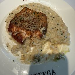 Salmon Salmon