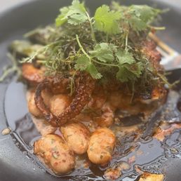 Octopus dish Octopus dish