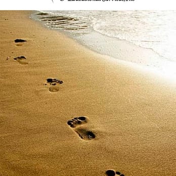 Life Focus Counseling Coaching & Educational Services - Counseling & Mental Health Near Me - Stuart, Florida Life Focus Counseling Coaching & Educational Services - Counseling & Mental Health Near Me - Stuart, Florida