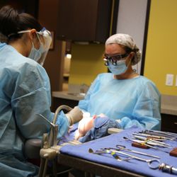 Anna Munne, DDS, PA - Houston Periodontist Operatory