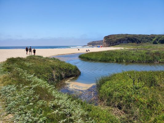 Four Mile Beach by null