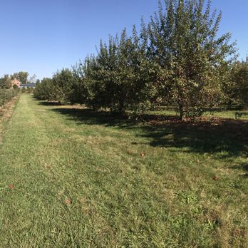 CherryHawk Farm - Enough open space so you don't feel crowded - Fruits & Veggies Near Me - Marysville, Ohio CherryHawk Farm - Enough open space so you don't feel crowded - Fruits & Veggies Near Me - Marysville, Ohio