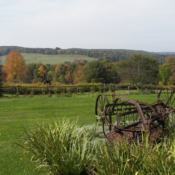 Carriage House - Guest Houses Near Me - Greene, New York
