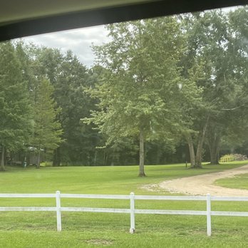 River Delta Marina & Campground - Campgrounds Near Me - Creola, Alabama