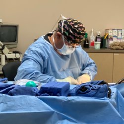 best vet surgeons near me