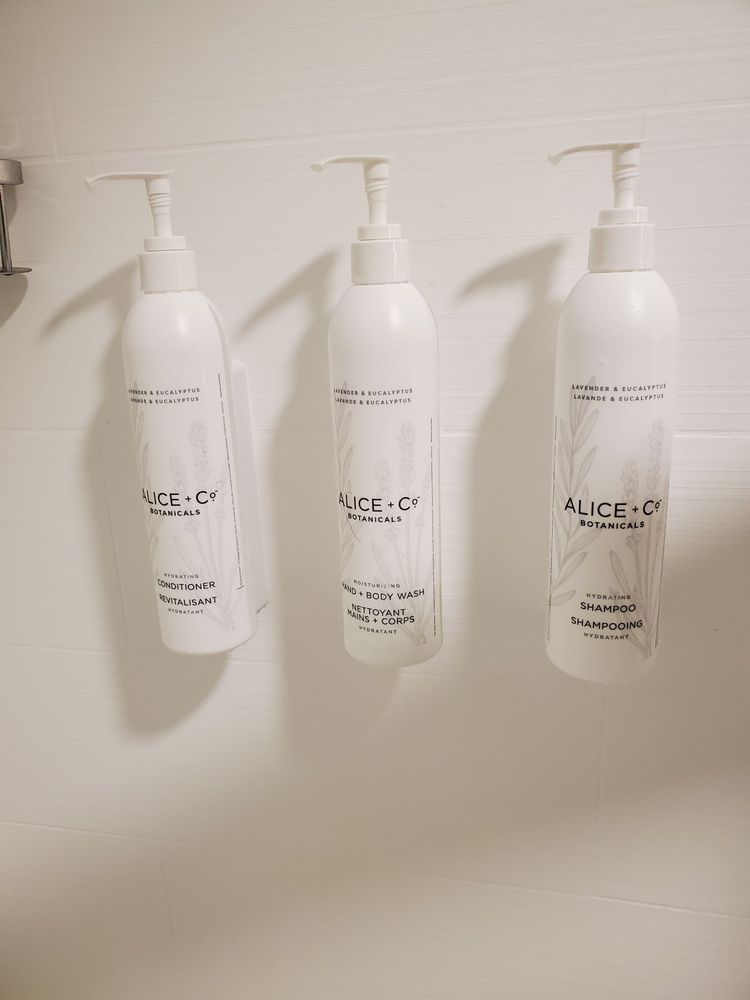 SPRINGHILL SUITES BY MARRIOTT JACKSONVILLE BEACH OCEANFRONT 65