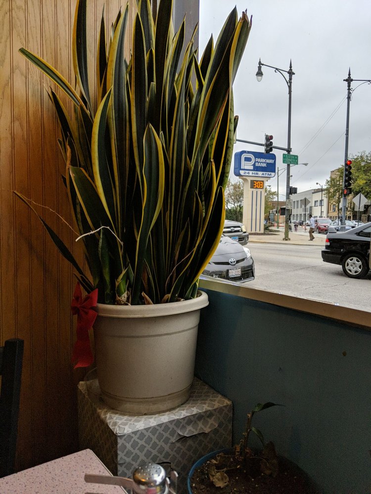 Mayfair Restaurant, Chicago Roadtrippers