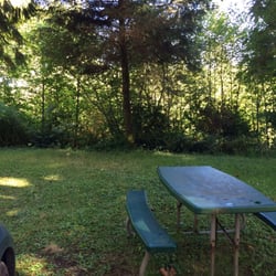 Forest Lake Resorts - Picnic areas at every spot