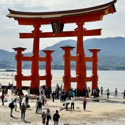 Gohagan & Company - Japan