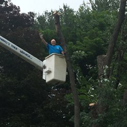 Hirko's Tree Service