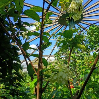Highlands Transportation - Gorgeous Plants-a Living Jungle! - Transportation Near Me