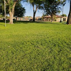 Taylor Park
