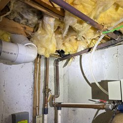 On Cape Remediation Services - Infested and damaged insulation