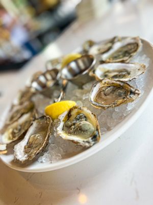 Edison's Gastropub by null