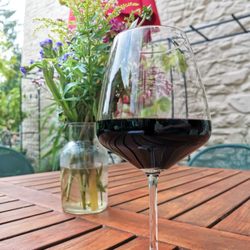 Vinotto Weinhandel - Vinotto: Montepulciano auf der Weinterrasse