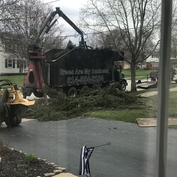 Trees Are My Business - Tree Services Near Me - Columbus, Ohio