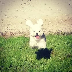 Kenwood Dog Park - I think its obvious how she feels about this place!