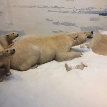 Field Museum - Museums Near Me - Chicago, Illinois Field Museum - Museums Near Me - Chicago, Illinois