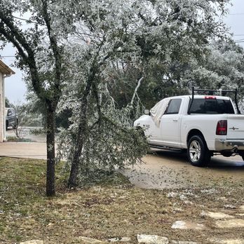 Lumberjack Tree Service - Tree Services Near Me Lumberjack Tree Service - Tree Services Near Me