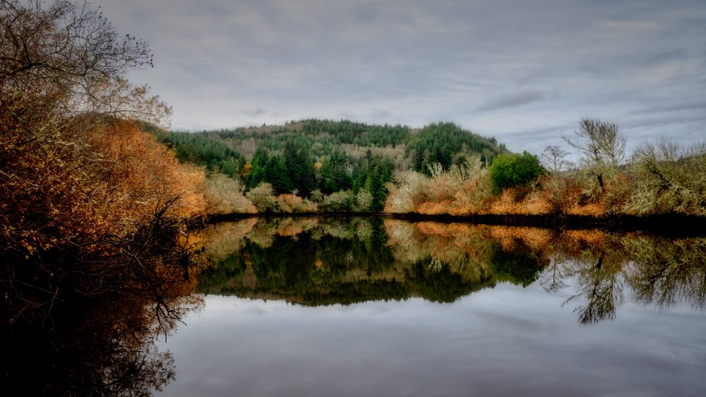 PACIFIC PROPERTIES Updated June 2024 Request Consultation 1448