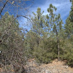 Black Mountain Trail