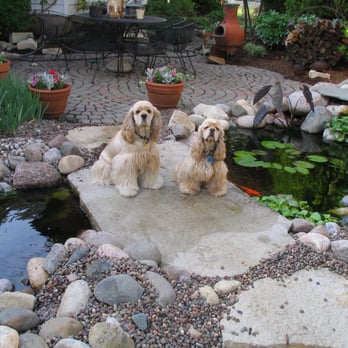 Basic Landscapes - two dogs sitting on a patio - Landscaping Near Me - Lombard, Illinois Basic Landscapes - two dogs sitting on a patio - Landscaping Near Me - Lombard, Illinois