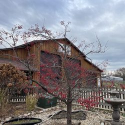 Tracy's Doggone Farm - Beautiful property!
