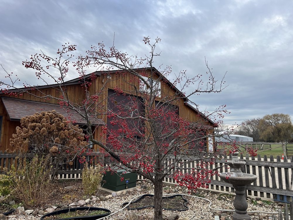 Tracy's Doggone Farm - pet boarding facility in Wadsworth, IL