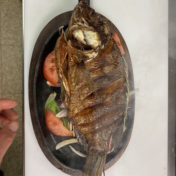 El Taquero Mexican Grill - Mojarra frita. Fried tilapia fish. - Salad Near Me - Killeen, Texas El Taquero Mexican Grill - Mojarra frita. Fried tilapia fish. - Salad Near Me - Killeen, Texas