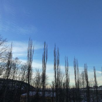 Svartdalsparken - Hiking Near Me - Oslo, 03