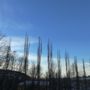 Photo of Svartdalsparken