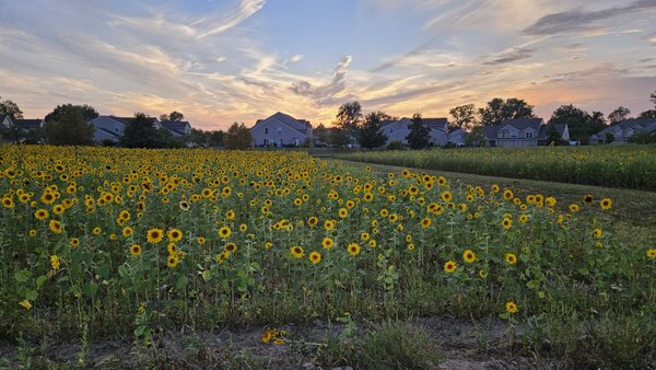 Salomon Farm Park by null