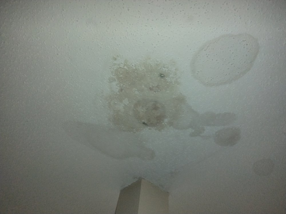 Slide of Top of the House Professionals