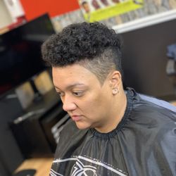 310 Cutz