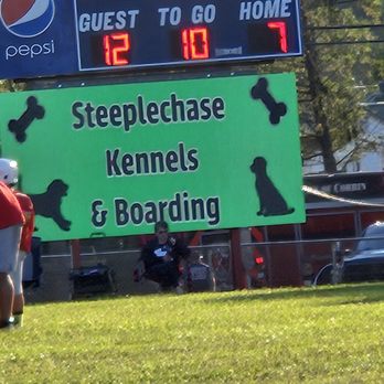 Steeplechase Kennels and Boarding - Pet Boarding Near Me - Corbin, Kentucky Steeplechase Kennels and Boarding - Pet Boarding Near Me - Corbin, Kentucky