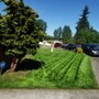 Photo of Mn Pro Landscaping