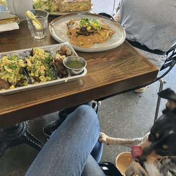 The White Rooster - Tri Tip tacos, tuna sandwich, huevos rancheros - New Mexican Cuisine Near Me - Dana Point, California