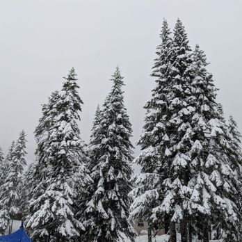 Stevens Pass Mountain Resort - Ski Resorts Near Me - Leavenworth, Washington