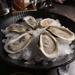 Vieux Carré - Canadian Oysters