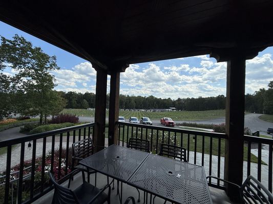 Saudé Creek Vineyards by null