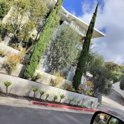 Nick's Nursery - Hollywood Hills low water front yard