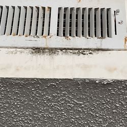 Gulf Dunes - More mold seeping down the walls.