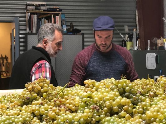 Covenant Wines by null