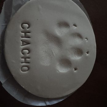 Fond Farewell - Veterinarians Near Me - Campbell, California